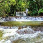 Mayfield Falls Tour Westmoreland Negril from Montego Bay - Exploring the Mayfield Falls Experience in Depth