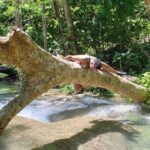 Mayfield Falls Tour with Lunch, drink, Entry & Transp(Original) - Frequently Asked Questions