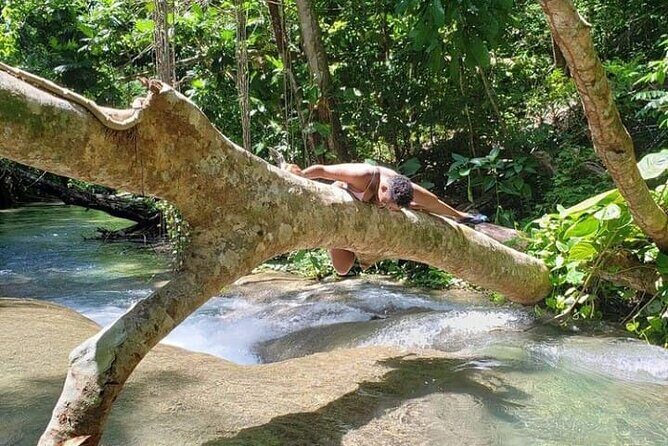 Mayfield Falls Tour with Lunch, drink, Entry & Transp(Original)