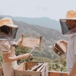 MEDELLÍN: Beekeeping Experience in coffee farm - Practical Details and What to Expect