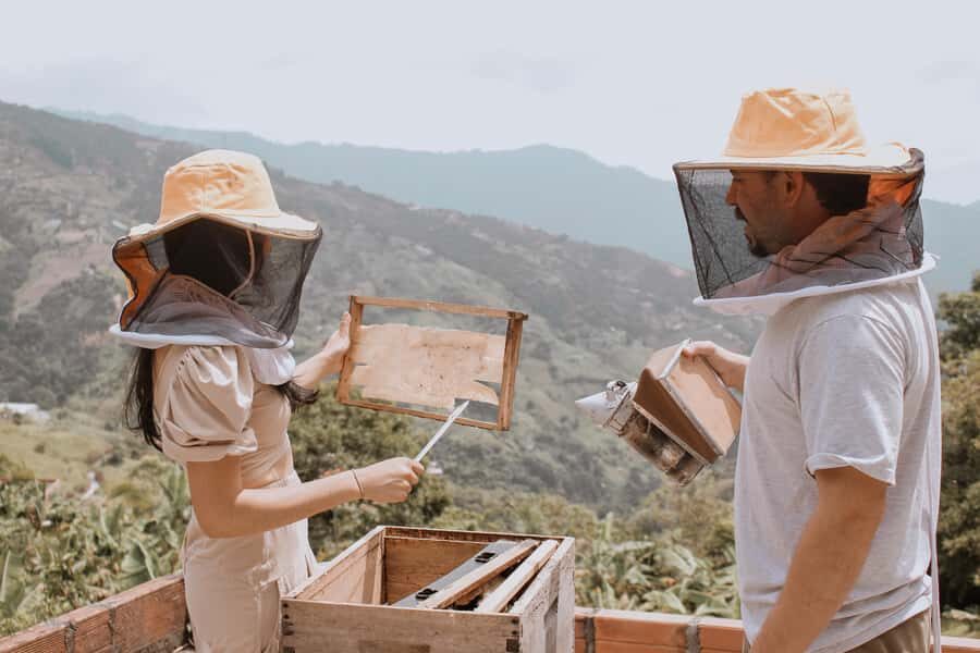 MEDELLÍN: Beekeeping Experience in coffee farm - Practical Details and What to Expect