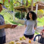 Medellin: Chocolate Roads Tour with Waterfall Experience - A Deep Dive into the Chocolate Roads Tour