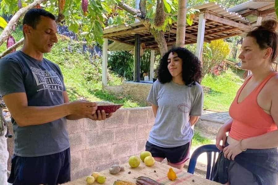 Medellin: Chocolate Roads Tour with Waterfall Experience - A Deep Dive into the Chocolate Roads Tour