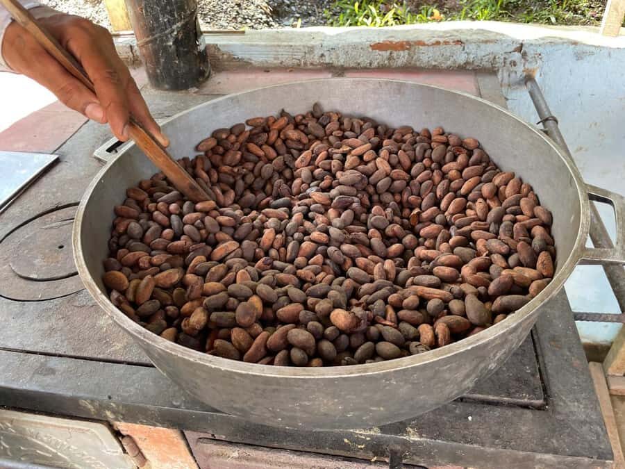 MEDELLÍN: CHOCOLATE TOUR & EXFOLIATION IN BEAUTIFUL RIVER! - Who Will Enjoy This Tour?