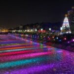 Medellin Christmas Lighting Private Tour - The Practical Side: What to Expect