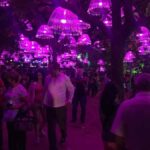 Medellin Christmas Lights Tour - Who Will Love This Tour?