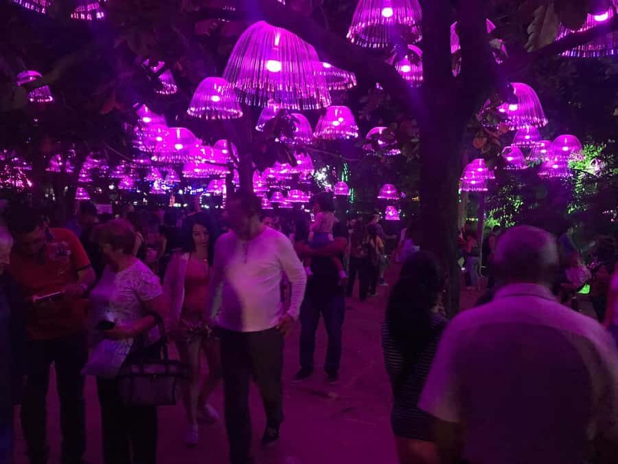 Medellin Christmas Lights Tour - Who Will Love This Tour?