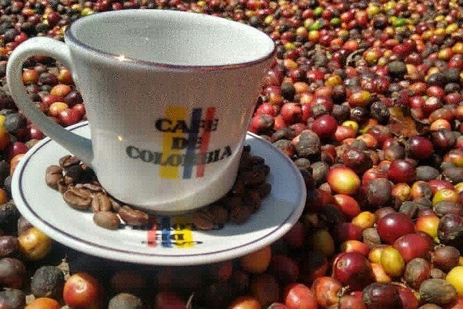 Medellin: coffee tour and paisa experience - Why This Tour Stands Out