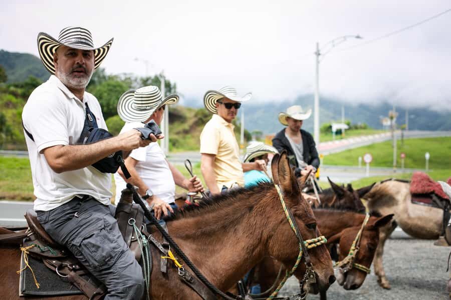 Medellin: Coffee Tour, Horseback Arrival, and Sugar Cane - The Itinerary Breakdown