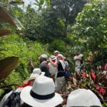 Medellin: Coffee Tour in the Beautiful Mountains of Medellin - A Closer Look at the Coffee Tour in Medellín