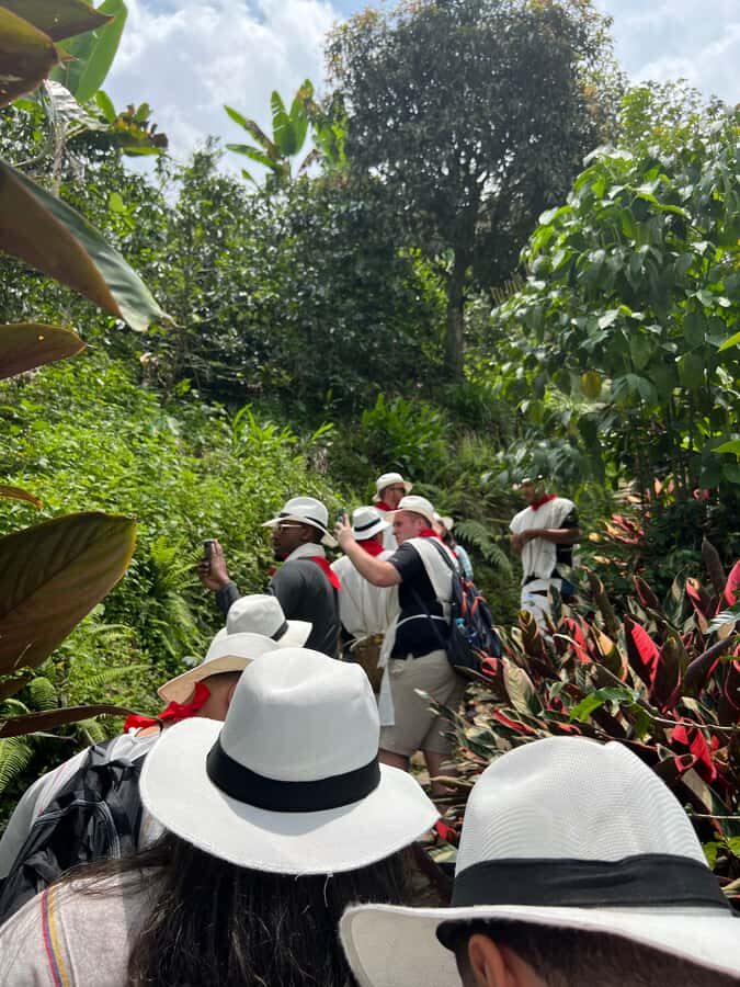 Medellin: Coffee Tour in the Beautiful Mountains of Medellin - A Closer Look at the Coffee Tour in Medellín