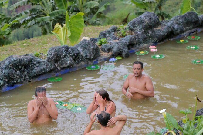 Medellin Coffee Tour & Spa - A Deep Dive into the Medellín Coffee Tour & Spa