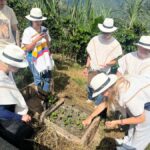 Medellin: Coffee Tour with Hotel Transfers and Meals - A Closer Look at the Coffee Tour Experience