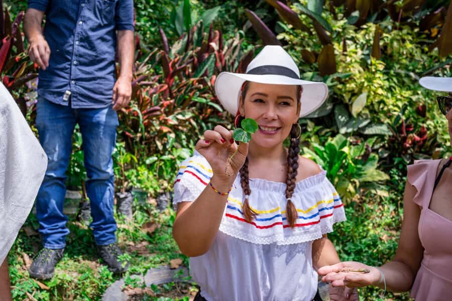 Medellín: Coffee Tour With Tastings and Lunch - An In-Depth Look at the Coffee Tour Experience
