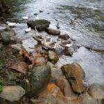 MEDELLIN: ESPIRITU SANTO HOT SPRINGS - In-Depth Look at the Espíritu Santo Hot Springs Tour