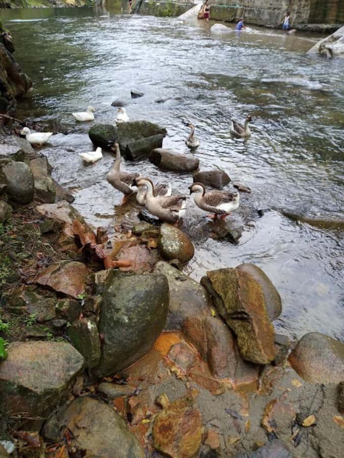 MEDELLIN: ESPIRITU SANTO HOT SPRINGS - In-Depth Look at the Espíritu Santo Hot Springs Tour