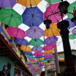 Medellin: Guatape, El Peñol Coffee Farm Private Tour & Fruit - Who Should Consider This Tour?