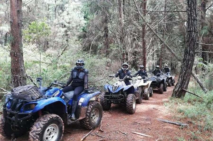 Medellin: Guided ATV Countryside Adventure - The ATV Ride: A Balance of Excitement and Scenic Beauty
