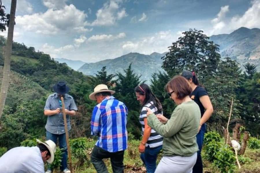 MEDELLÍN: HALF-DAY COFFEE TOUR AT LOCAL FAMILY FARM - An In-Depth Look at the Coffee Farm Tour