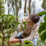 Medellin: Horseback Riding Coffee Farm Tour with Coffee Spa - An In-Depth Look at the Experience