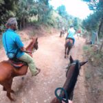Medellin: Horseback Riding in the Medellin Mountains - Practical Tips for Travelers