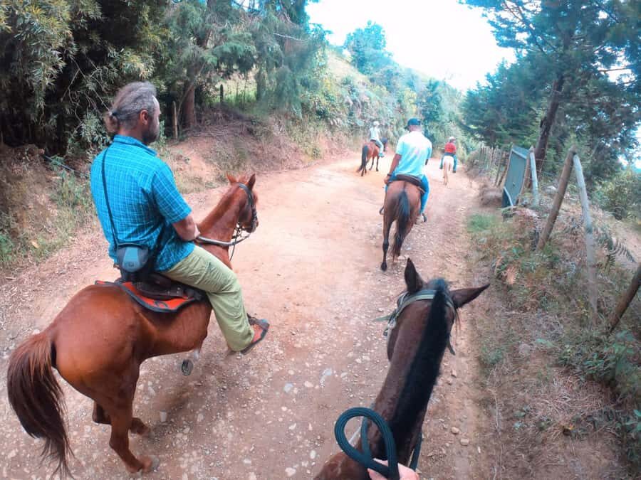 Medellin: Horseback Riding in the Medellin Mountains - Practical Tips for Travelers