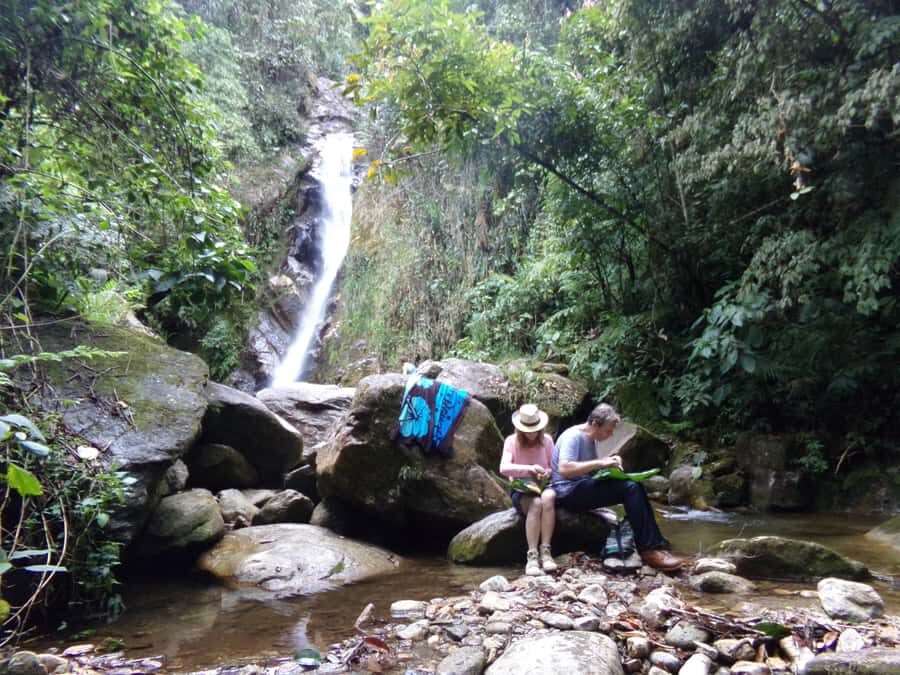 Medellín: Nature Experience & Waterfall-Hike - Exploring Medellín’s Natural Beauty: What to Expect