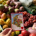 Medellin: Santa Fe de Antioquia Day Trip - Who Should Consider This Tour?