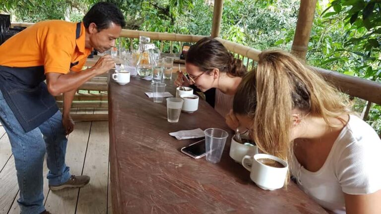 Medellin to Fredonia for a Coffee Day Tour - An In-Depth Look at the Coffee Day Tour