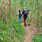 Medellín: Tunel de la Quiebra, Railway & Waterfalls Day Tour - Final Thoughts