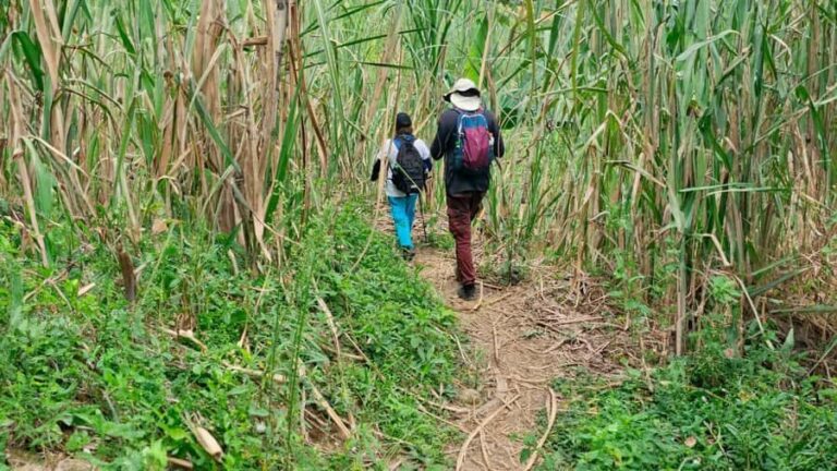 Medellín: Tunel de la Quiebra, Railway & Waterfalls Day Tour - Final Thoughts