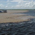 Meeting of the Waters & Pink Dolphin Tour with Lunch - Who Will Enjoy This Tour?