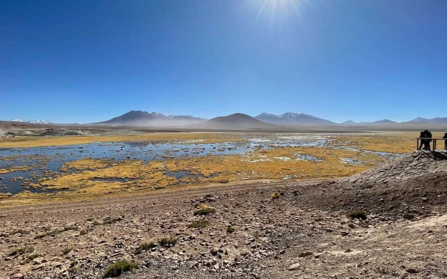 Memorable Tatio Geysers Tour with Flamingos and Scenic Views - Practical Details and Value