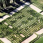 Mendoza: Borges Labyrinth: Lunch, Literary Workshop & Winery - Exploring the Mendoza: Borges Labyrinth Experience