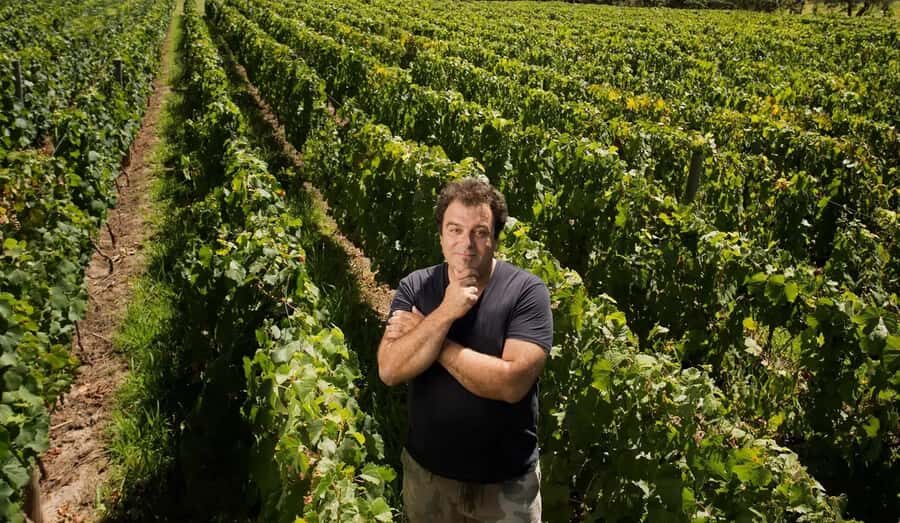 Mendoza: El Enemigo and Casa Vigil Wine Tour - A Closer Look at the Mendoza: El Enemigo and Casa Vigil Tour