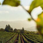 Mendoza Essentials - 3 Days All Inclusive Experiences - Why This Tour Offers Great Value