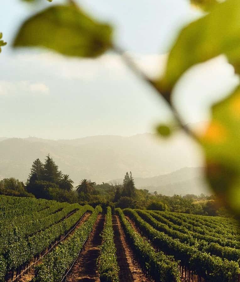 Mendoza Essentials - 3 Days All Inclusive Experiences - Why This Tour Offers Great Value