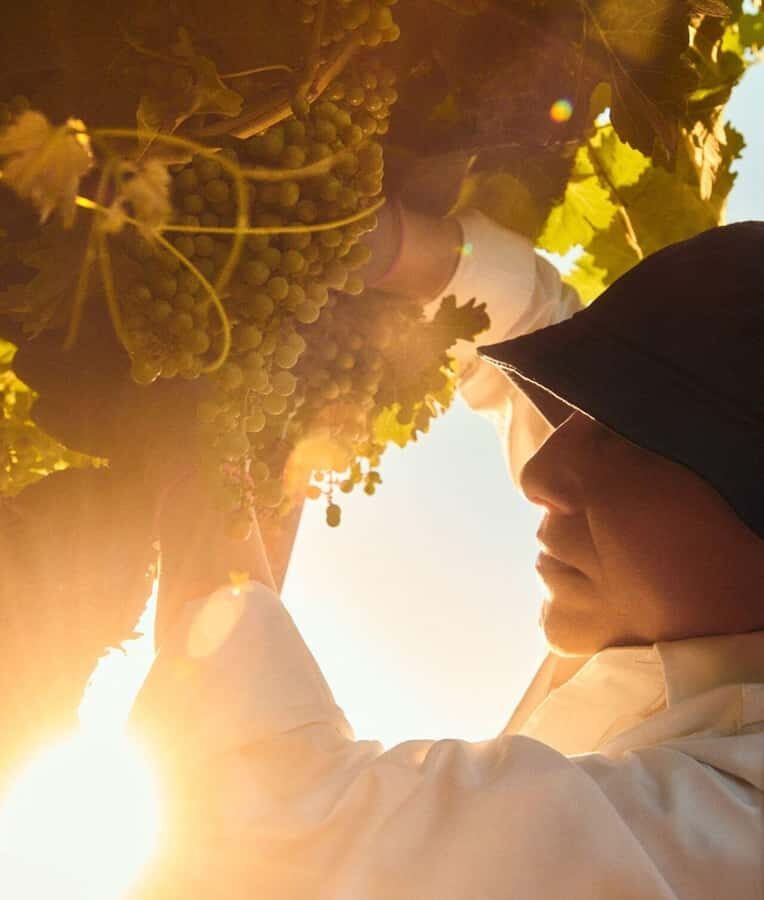 Mendoza Essentials - 5 Days All Inclusive Experiences - The Practical Side: What to Expect and Considerations