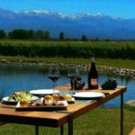 Mendoza: Full day tour visit and tasting - 3 wineries - Who Should Consider This Tour?