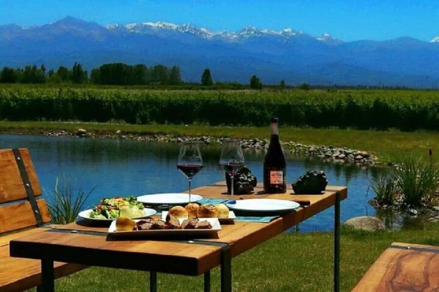 Mendoza: Full day tour visit and tasting - 3 wineries - Who Should Consider This Tour?