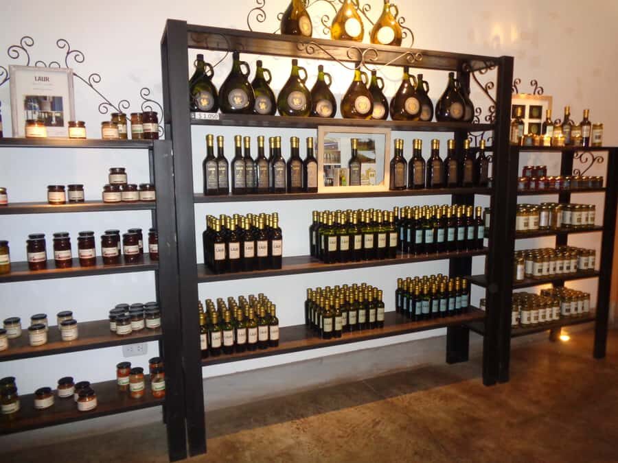 Mendoza: Half-Day Wine Tour with Tastings - Frequently Asked Questions