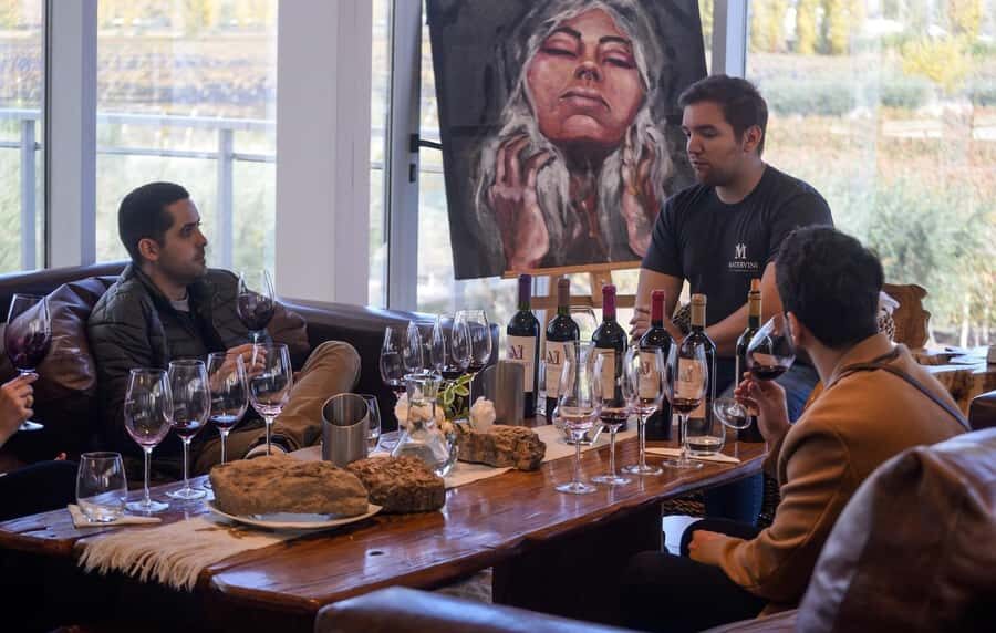 Mendoza Lujan de Cuyo: Tour of 3 Wineries with Tastings and Lunch - Frequently Asked Questions