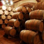 Mendoza: Small-Group Wineries Tour with Tasting and Lunch - Who Will Appreciate This Tour?
