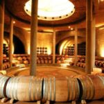 Mendoza Wine Route A Full Day Private Excursion - An In-Depth Look at the Mendoza Wine Route Experience