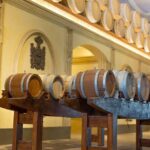 Mendoza Wine Tour with Lunch - Olive Oil and Lunch: A Taste of Local Flavors