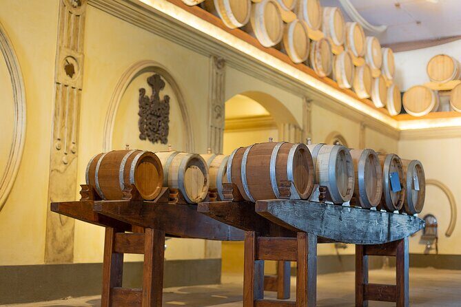 Mendoza Wine Tour with Lunch - Olive Oil and Lunch: A Taste of Local Flavors