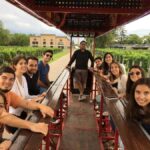Mendoza: Winebike Tasting Tour with Optional Lunch - The Sum Up