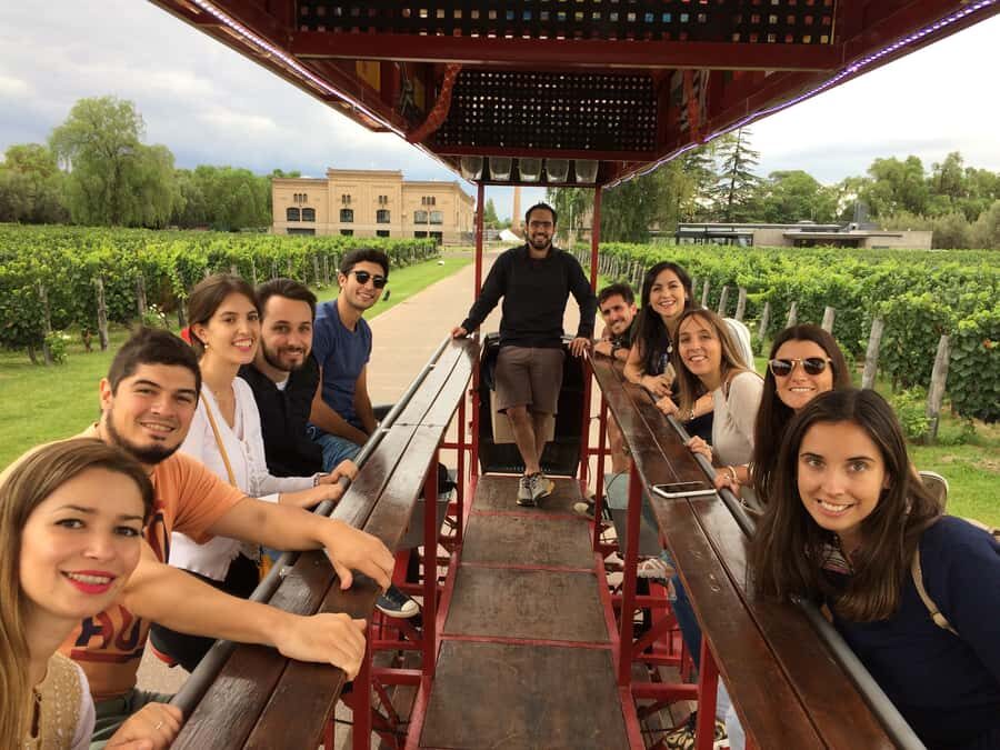 Mendoza: Winebike Tasting Tour with Optional Lunch - The Sum Up