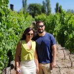 Mendoza's top wineries ! All Inclusive Private Tours! - Who Should Consider This Tour?