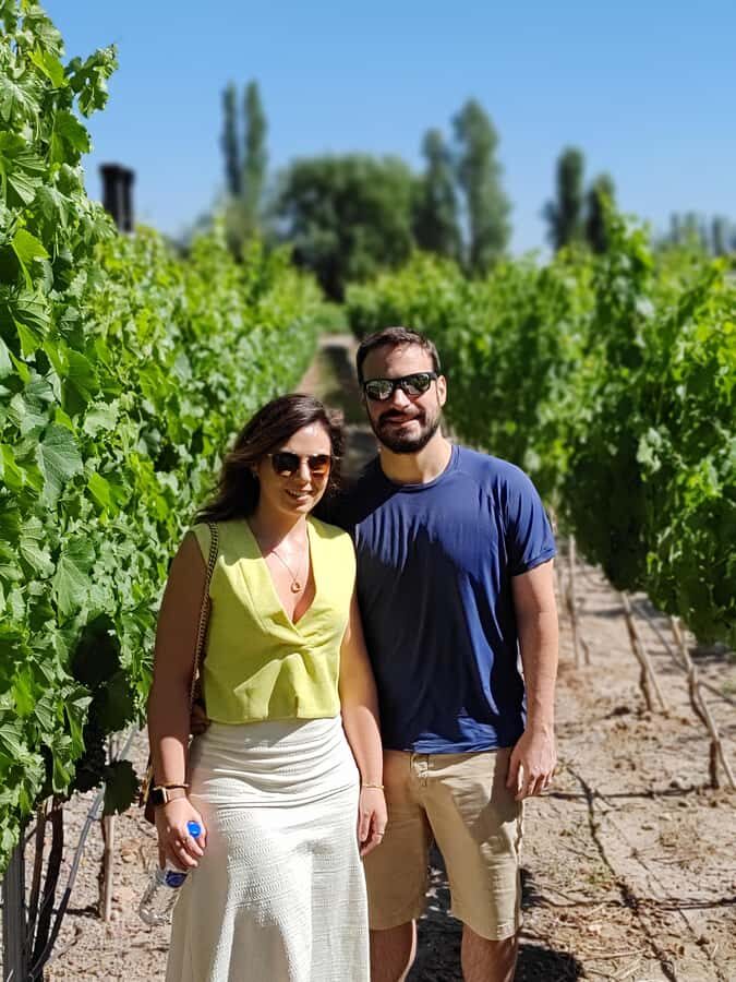 Mendoza's top wineries ! All Inclusive Private Tours! - Who Should Consider This Tour?